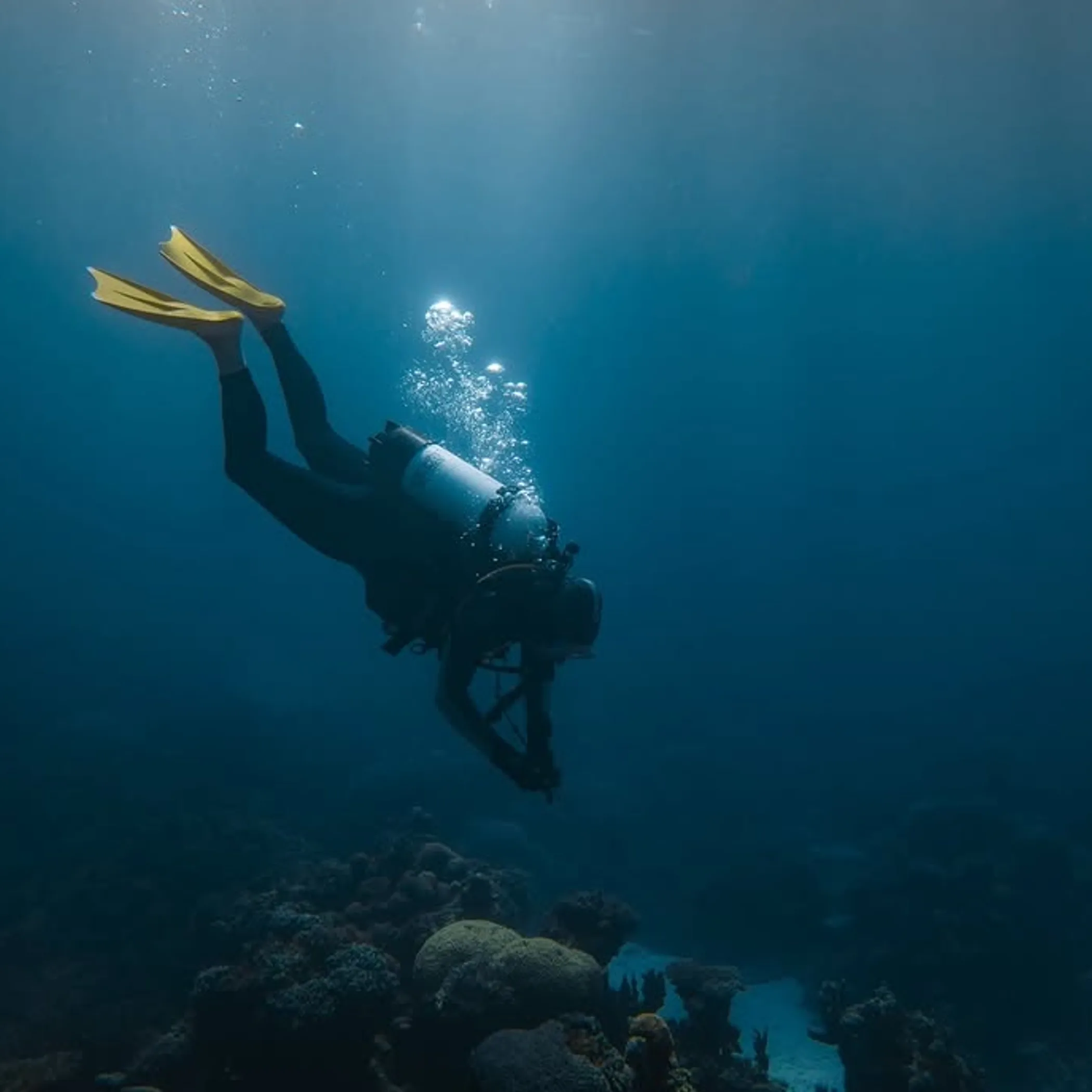 diver exploring clear ningaloo reef