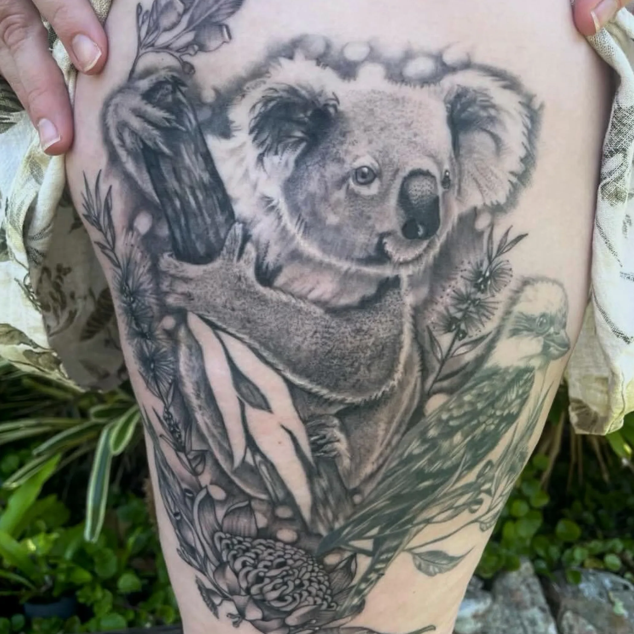 koala tattoo with native australian flora