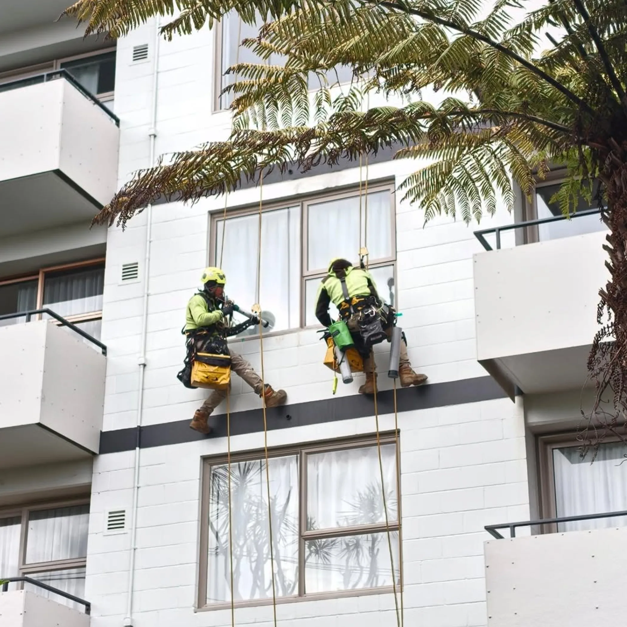 technicians performing high-rise façade maintenance