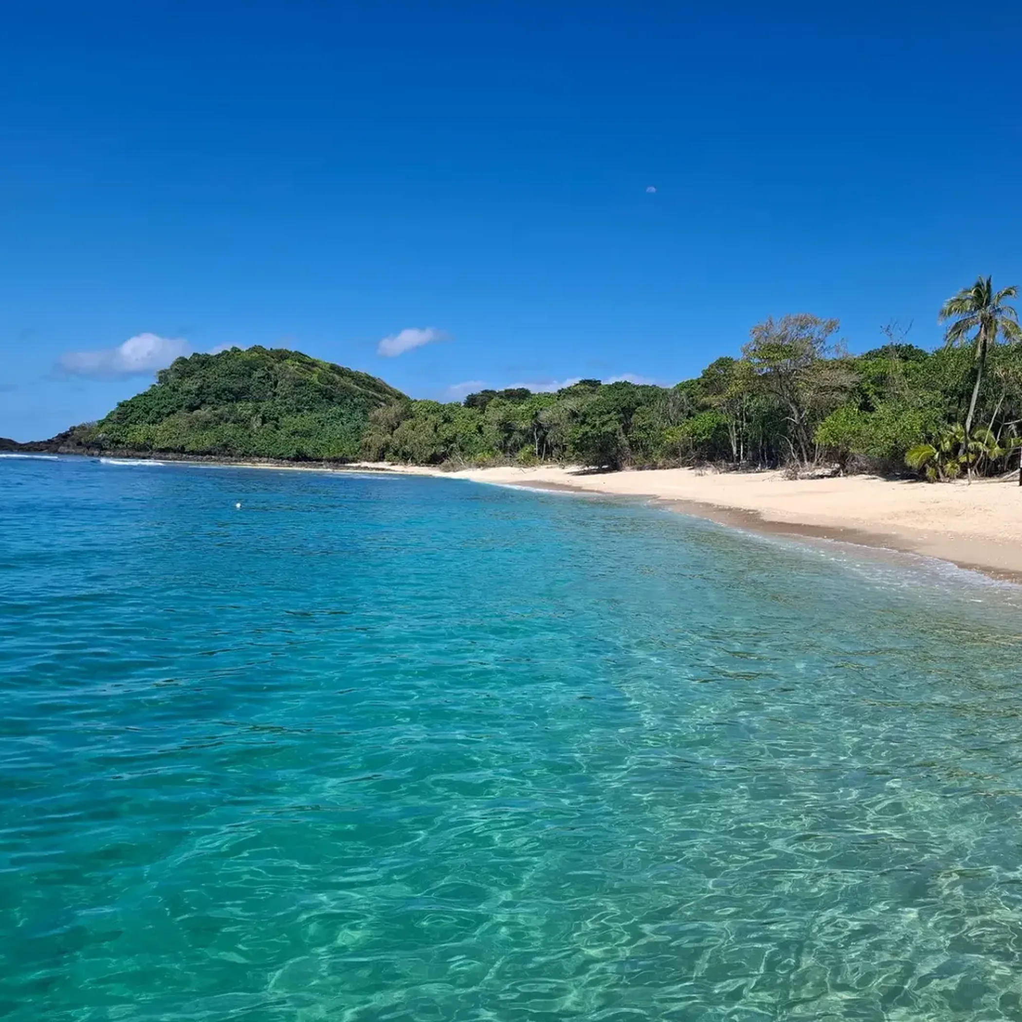 turquoise water and tropical beach