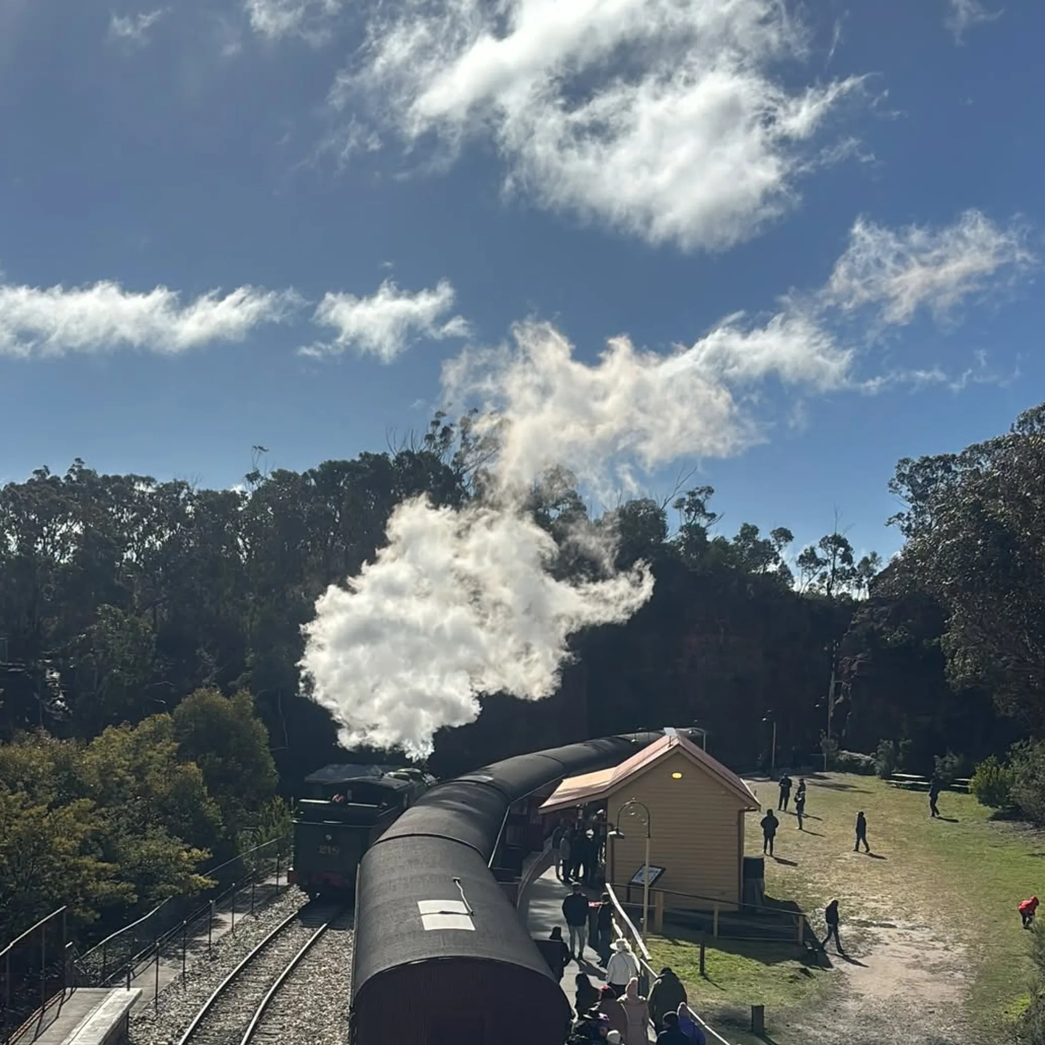 steam train at valley station