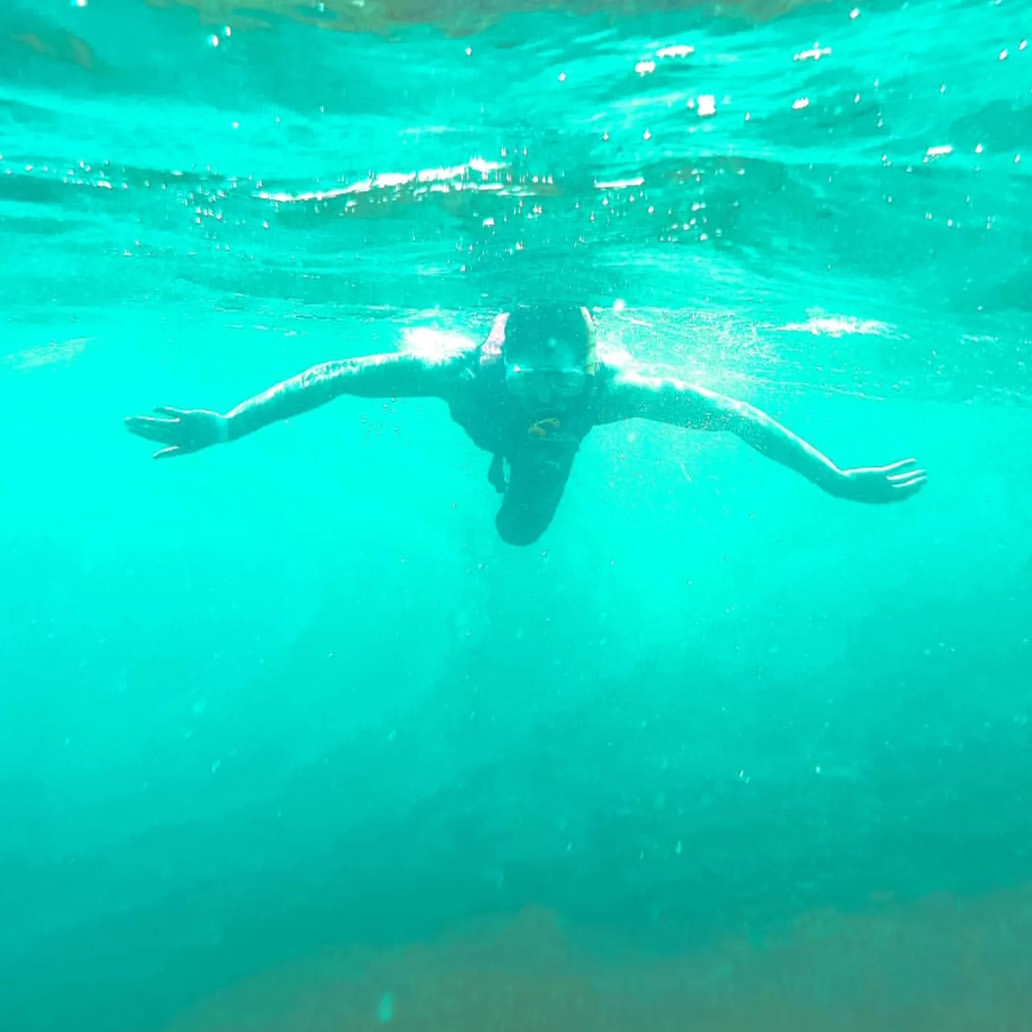 snorkeling or diving scene