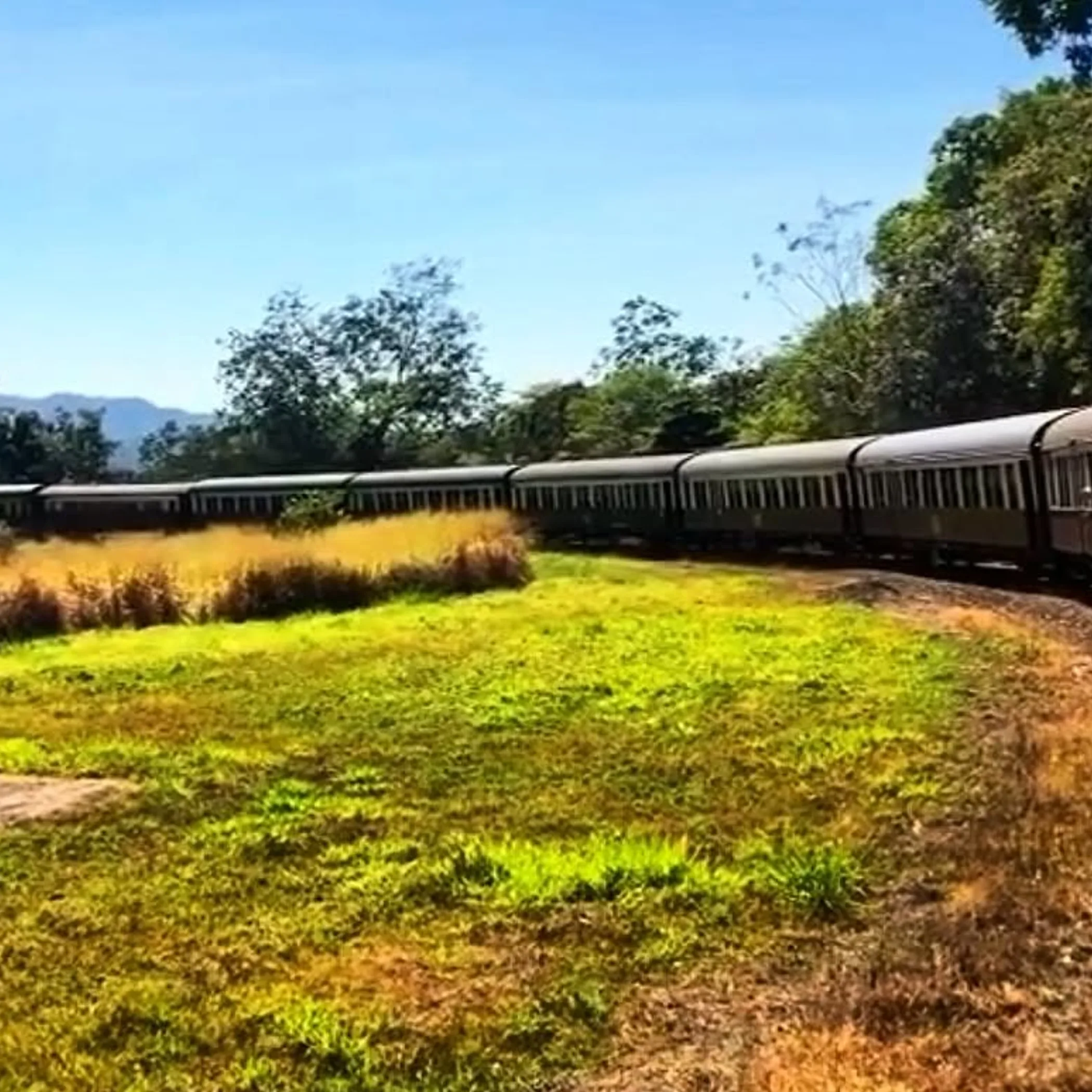 heritage train in lush valley